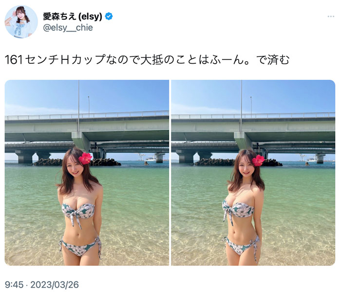 愛森ちえ(elsy)、溢れんばかりのふっくら美バストえちえちボディ披露！