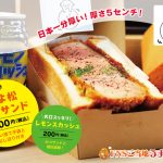 INI、岡崎体育、リトグリらが登場！「めざましテレビ30周年フェス in 大阪」グッズ＆グルメ詳細も決定