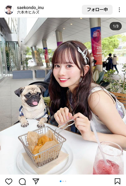 近藤沙瑛子、愛犬との絶妙ショットが話題沸騰！見つめ合う瞬間にメロメロすること間違いなし！