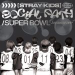 9月度ゴールドディスク認定～Stray Kids、Snow Man、乃木坂46