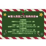 真島なおみ、美谷間が際立つサンタコスプレを投稿！「今年は黒髪」去年と違うクリスマスが待ち遠しい！